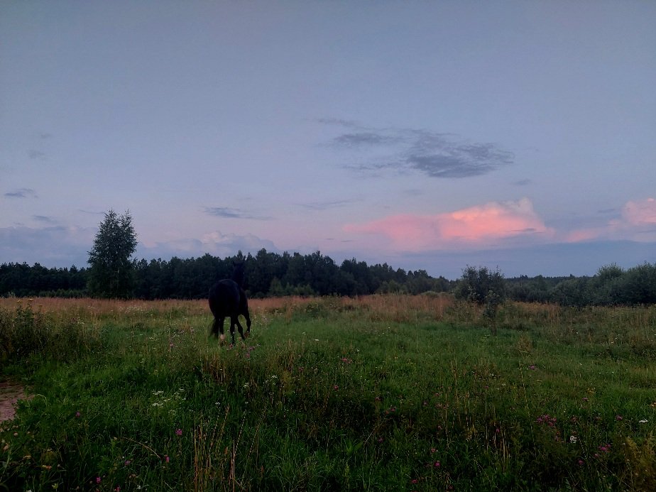 20260714_211839.jpg