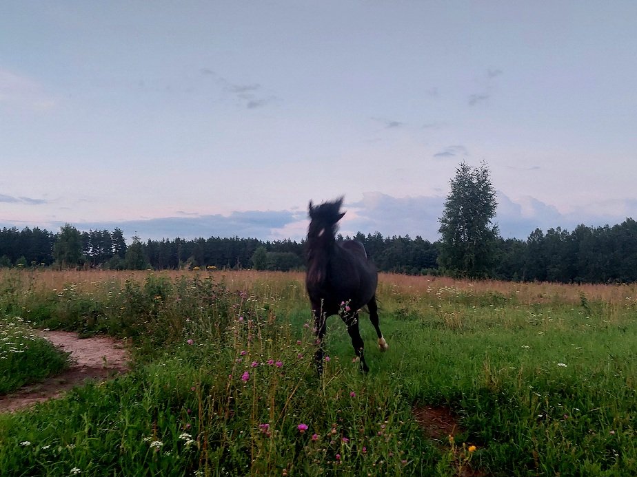 20260714_211915.jpg