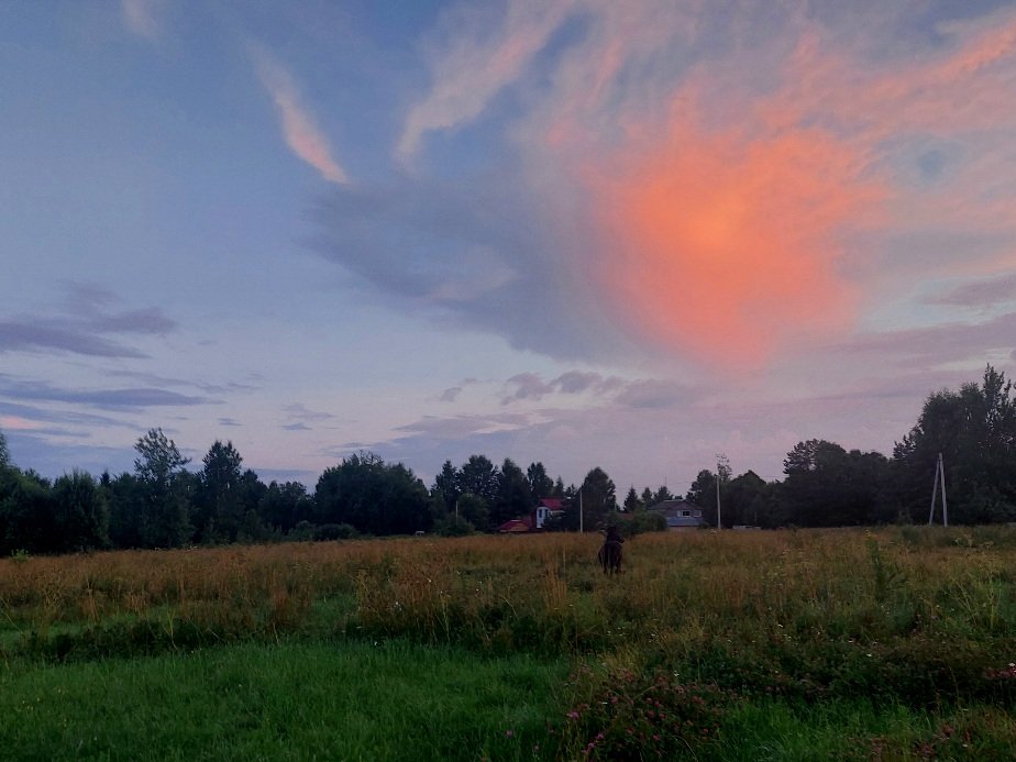 20260714_211934.jpg