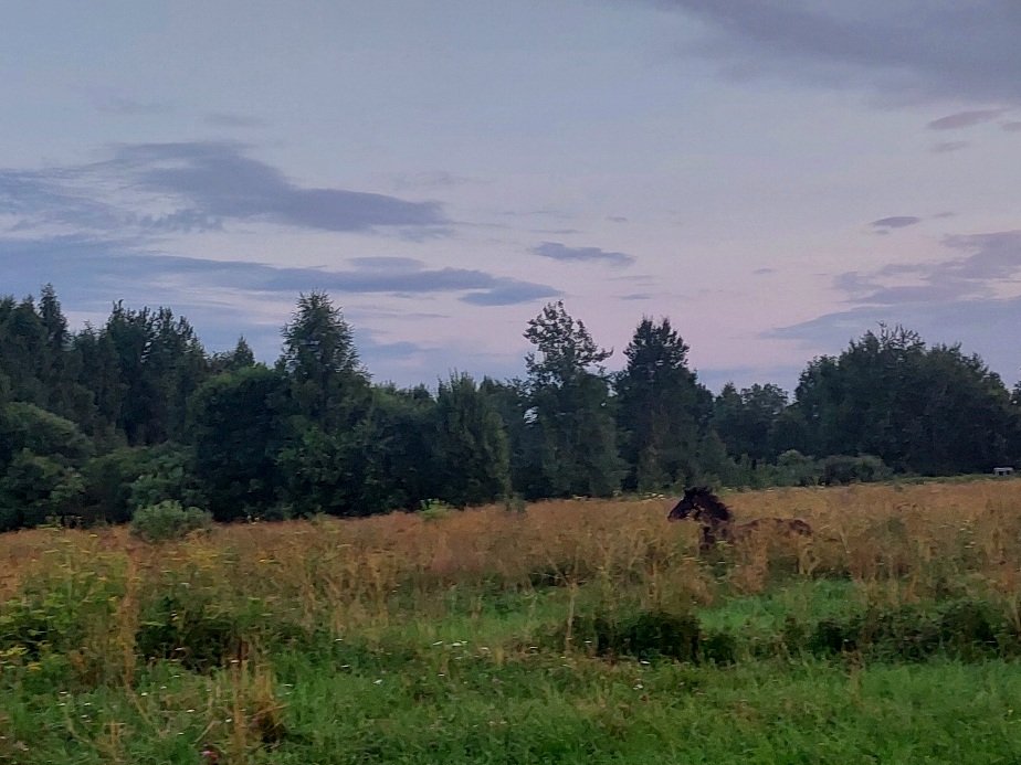 20260714_212317.jpg