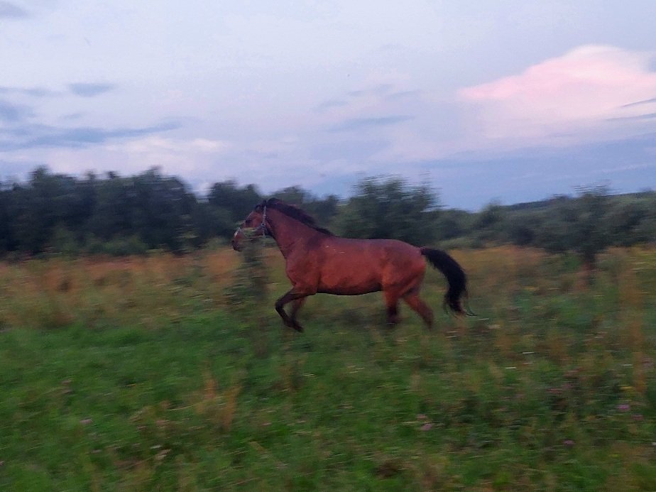 20260714_212725.jpg