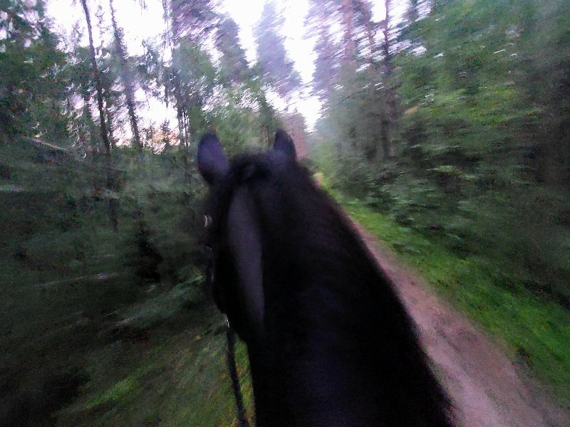20260715_212233.jpg
