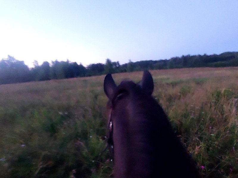 20260717_214435.jpg