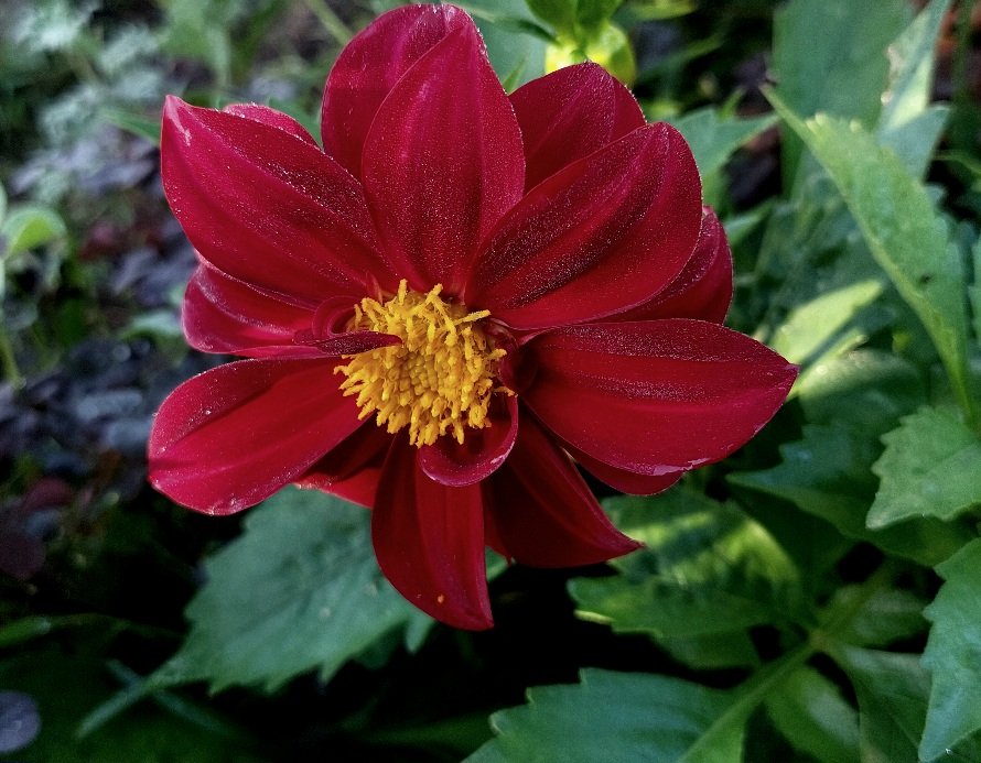 20260720_063044.jpg