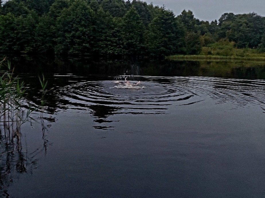 20260720_213255.jpg