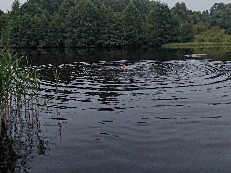 20260720_213313.jpg