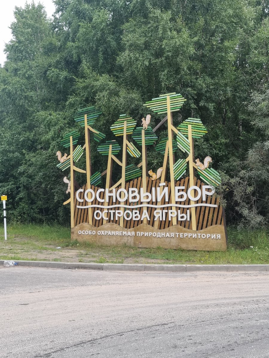 20260723_111706.jpg