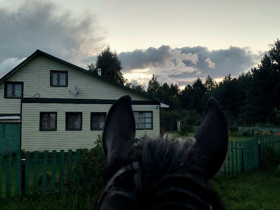 20260723_212727.jpg