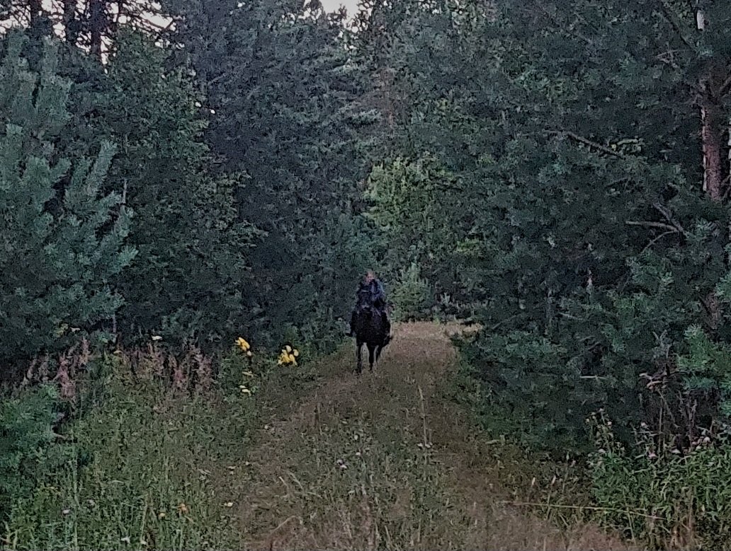 20260723_213114.jpg
