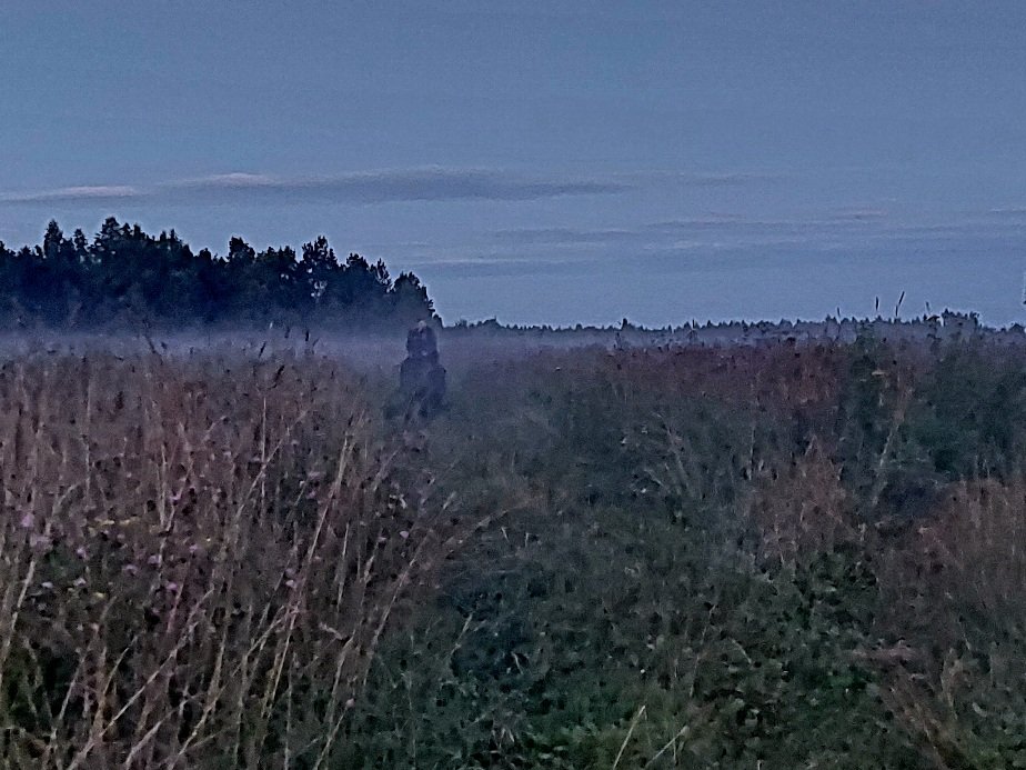 20260723_213447.jpg