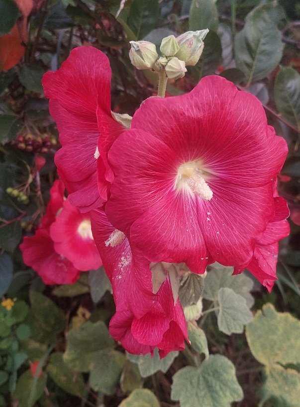 20260725_060231.jpg