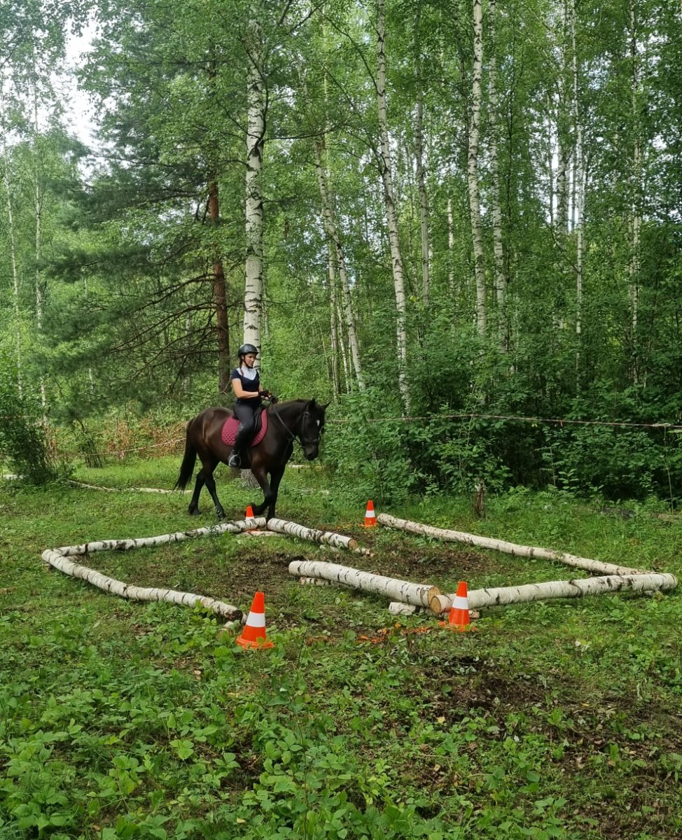 20260725_131804.jpg