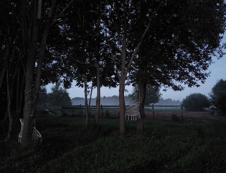 20260725_215136.jpg
