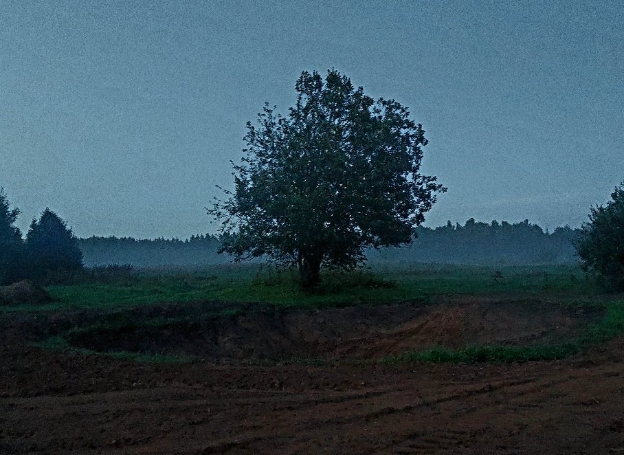 20260725_215219.jpg