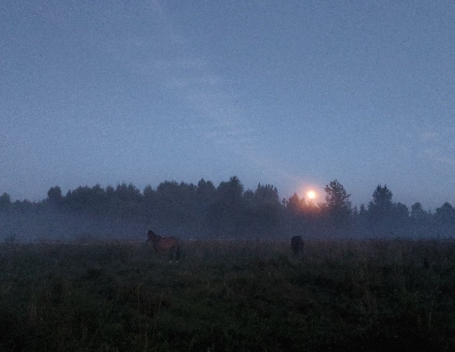 20260725_215338.jpg