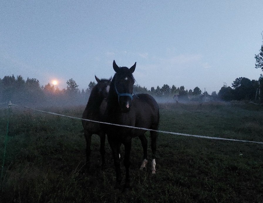 20260725_215437.jpg