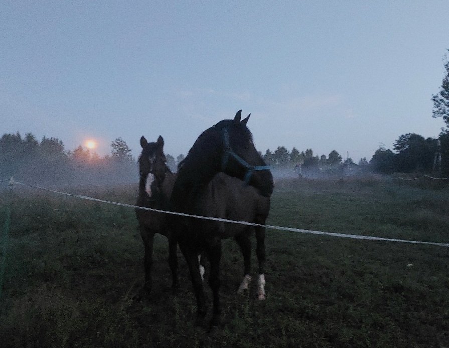20260725_215439.jpg