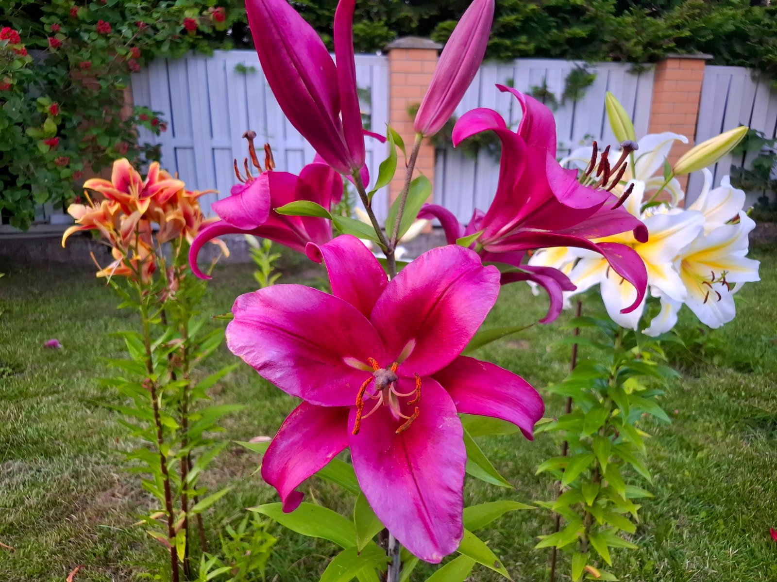 20260727_205818.jpg