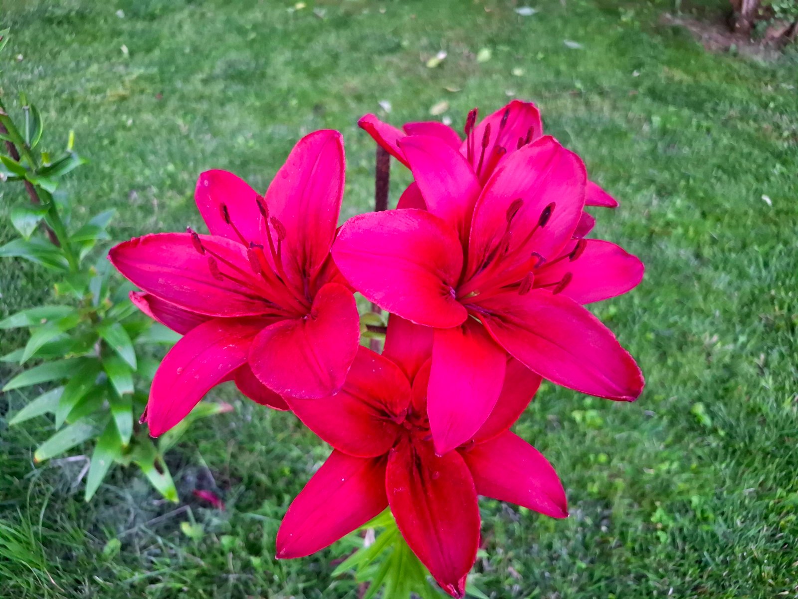 20260727_205841.jpg