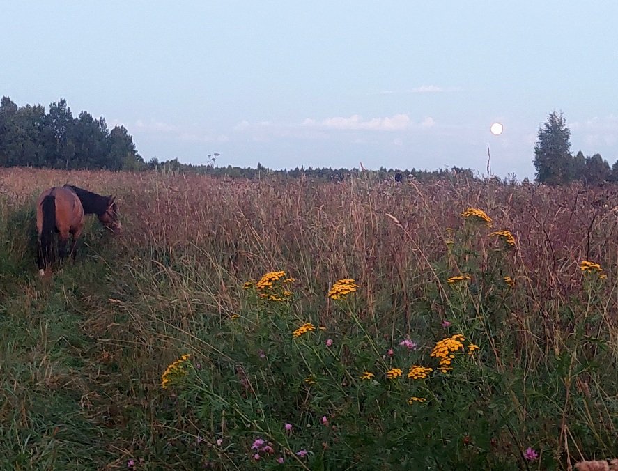 20260727_212018.jpg