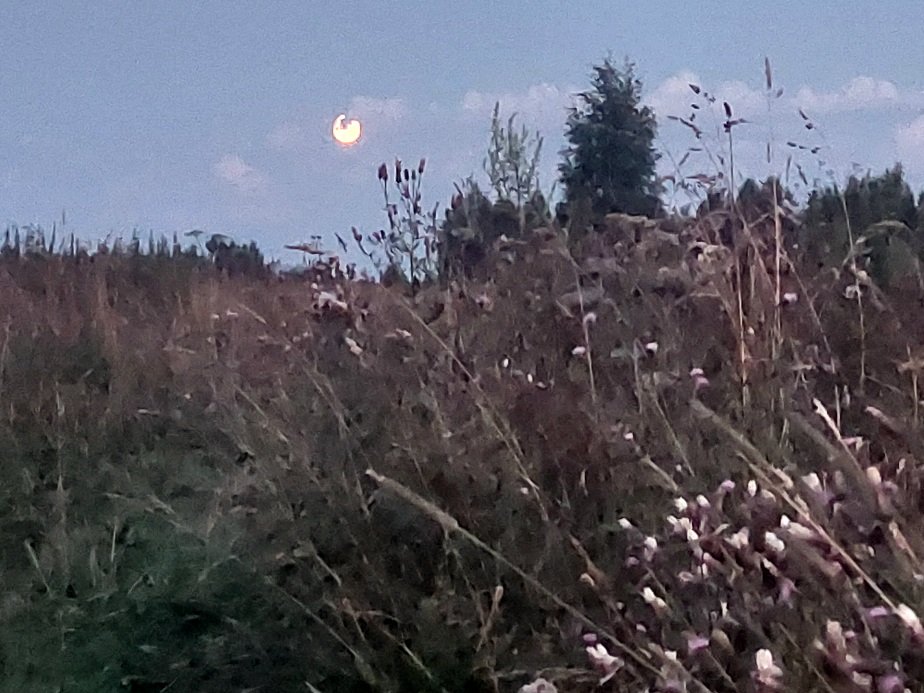20260727_212627.jpg