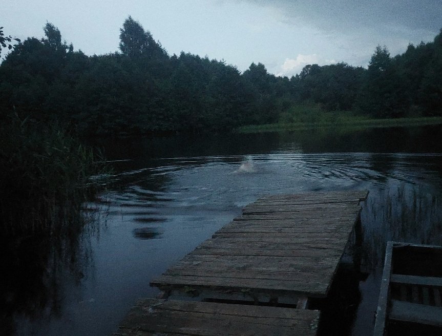 20260728_214055.jpg