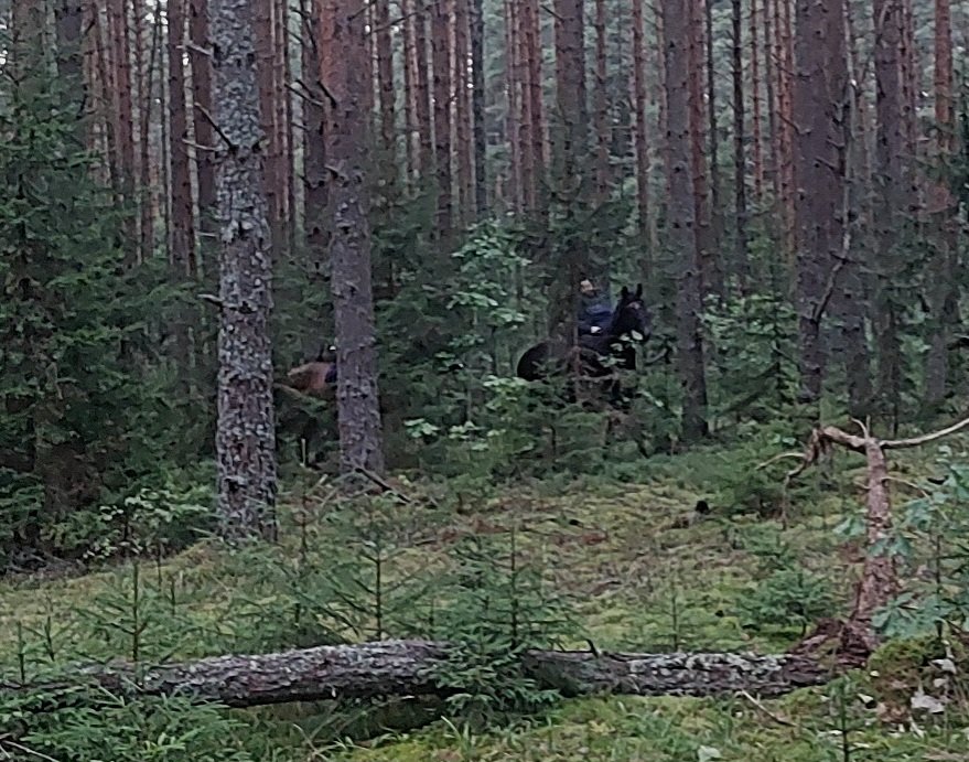 20260729_201255.jpg