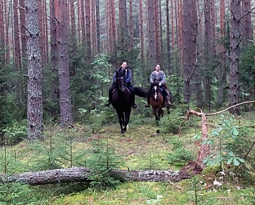 20260729_201300.jpg