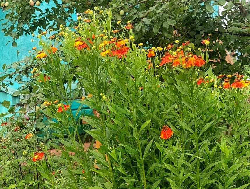 20260730_081310.jpg