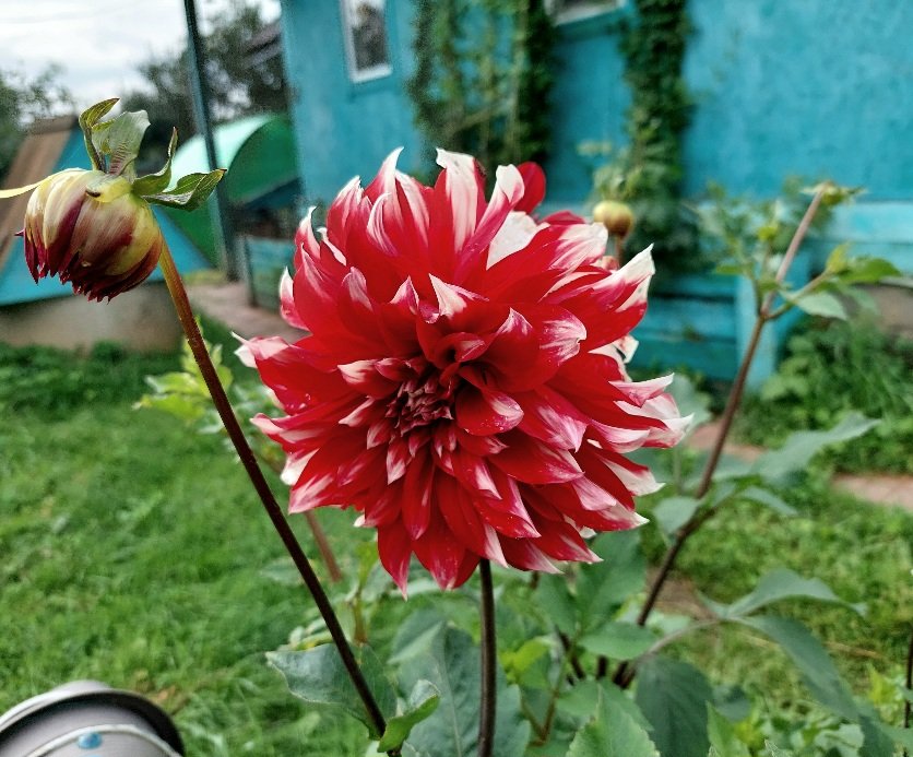 20260730_084120.jpg