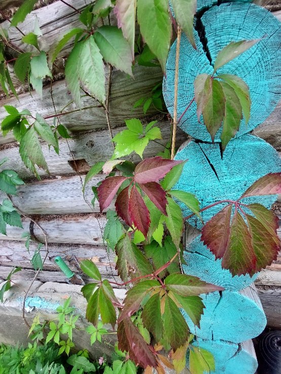 20260730_085717.jpg