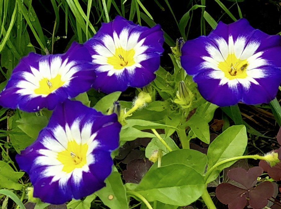 20260730_085805.jpg