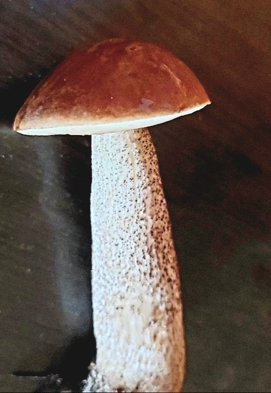 20260730_100151.jpg