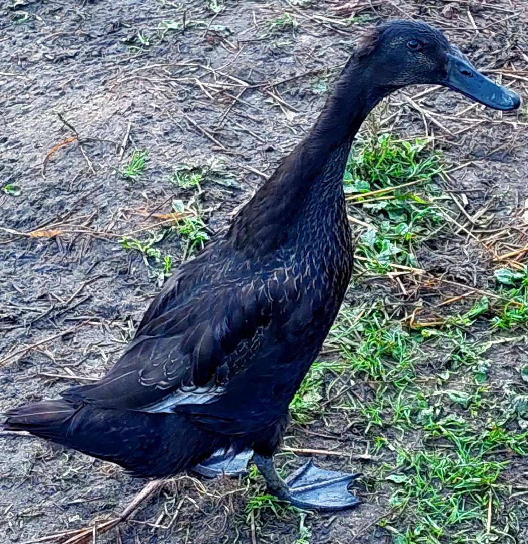 20260801_071618.jpg