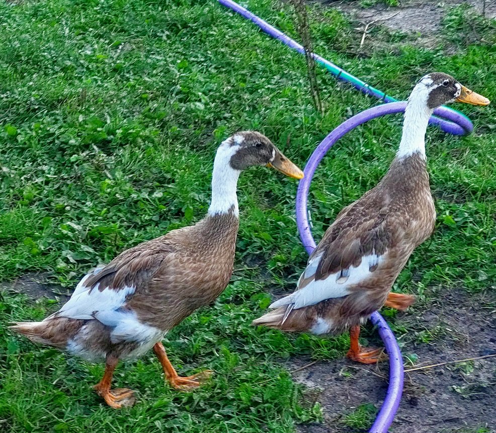 20260801_071640.jpg