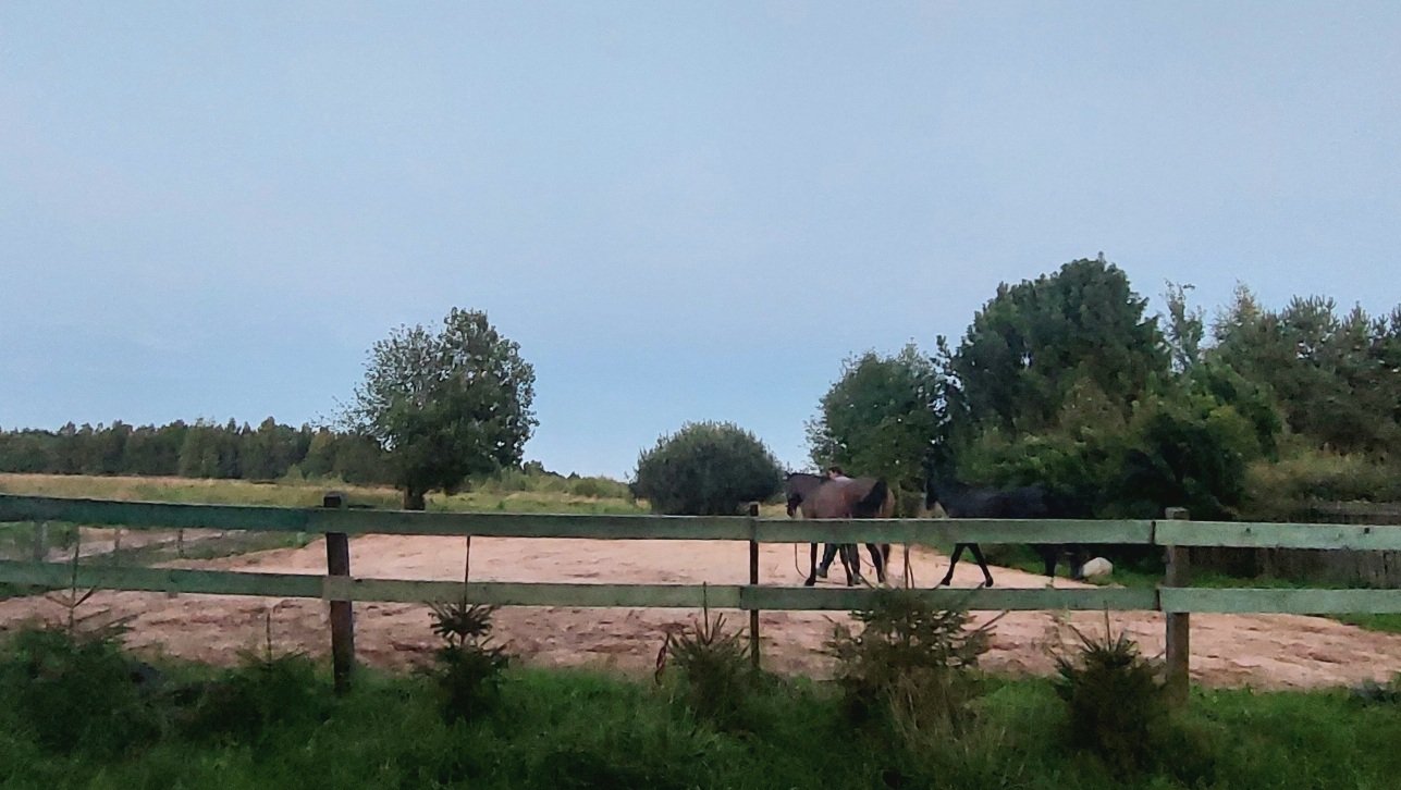 20260801_210215.jpg