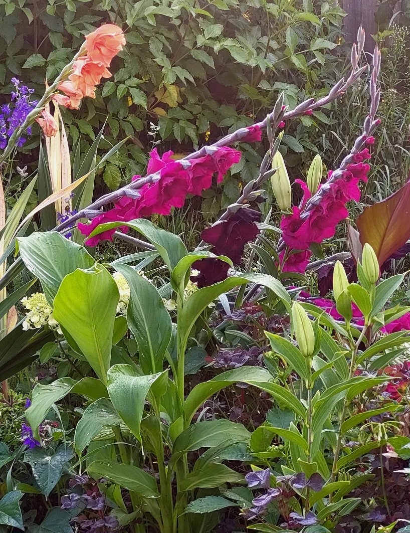 20260802_055253.jpg