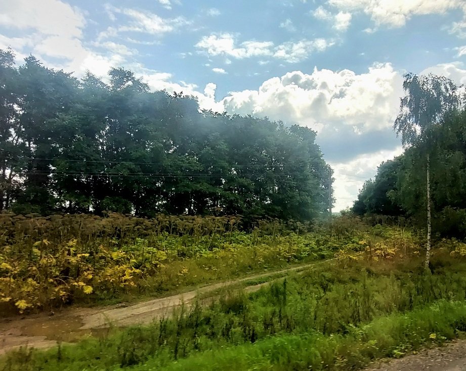 20260803_104553.jpg