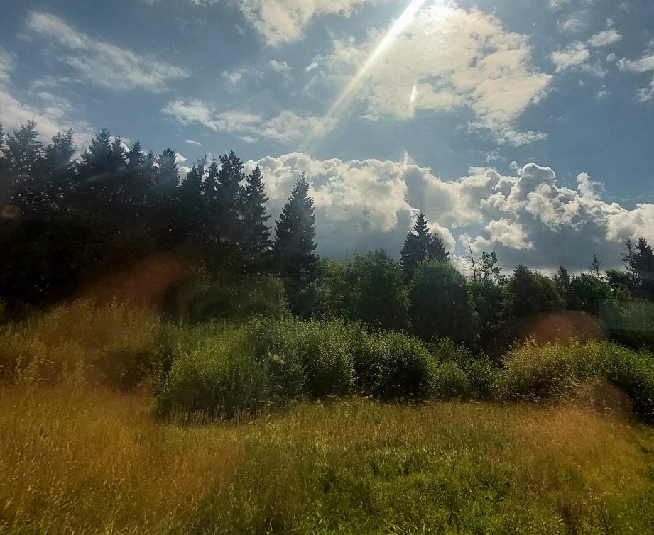20260803_104626.jpg