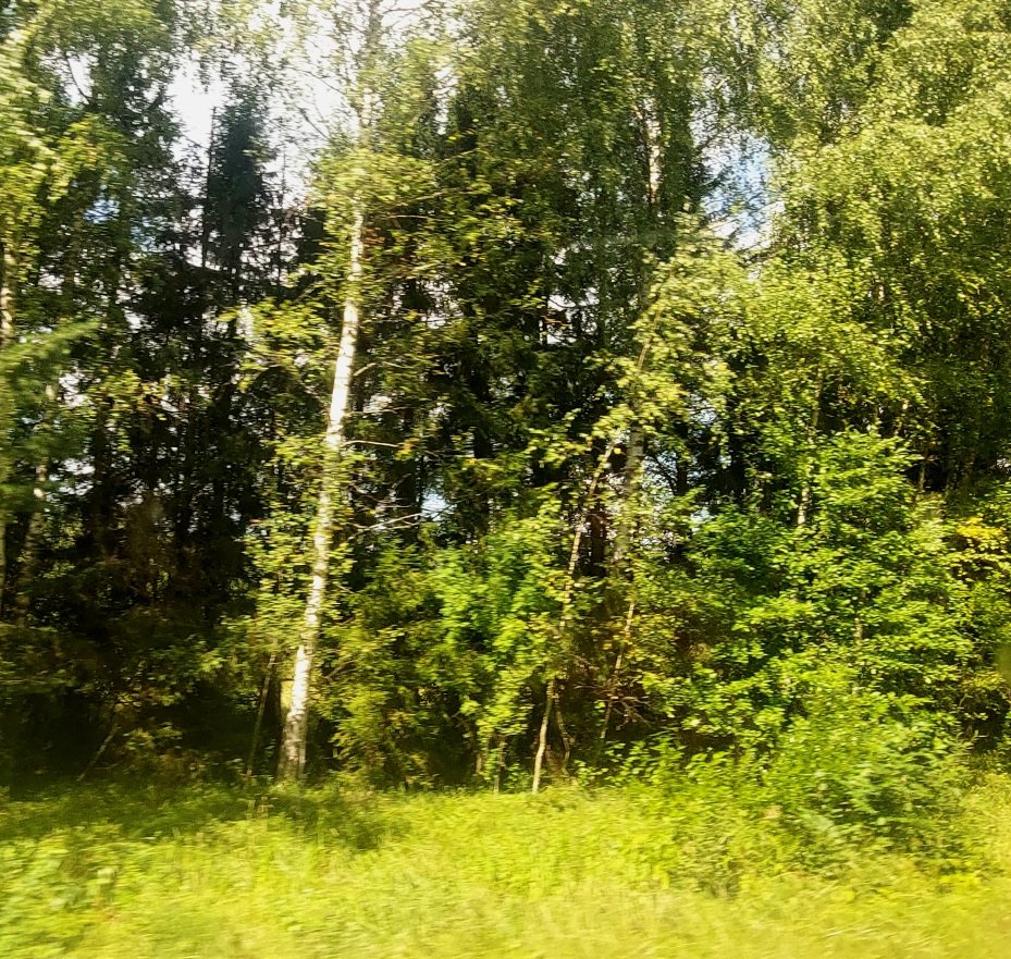20260803_112127.jpg