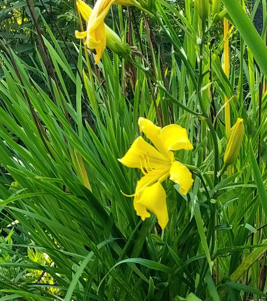 20260804_172310.jpg