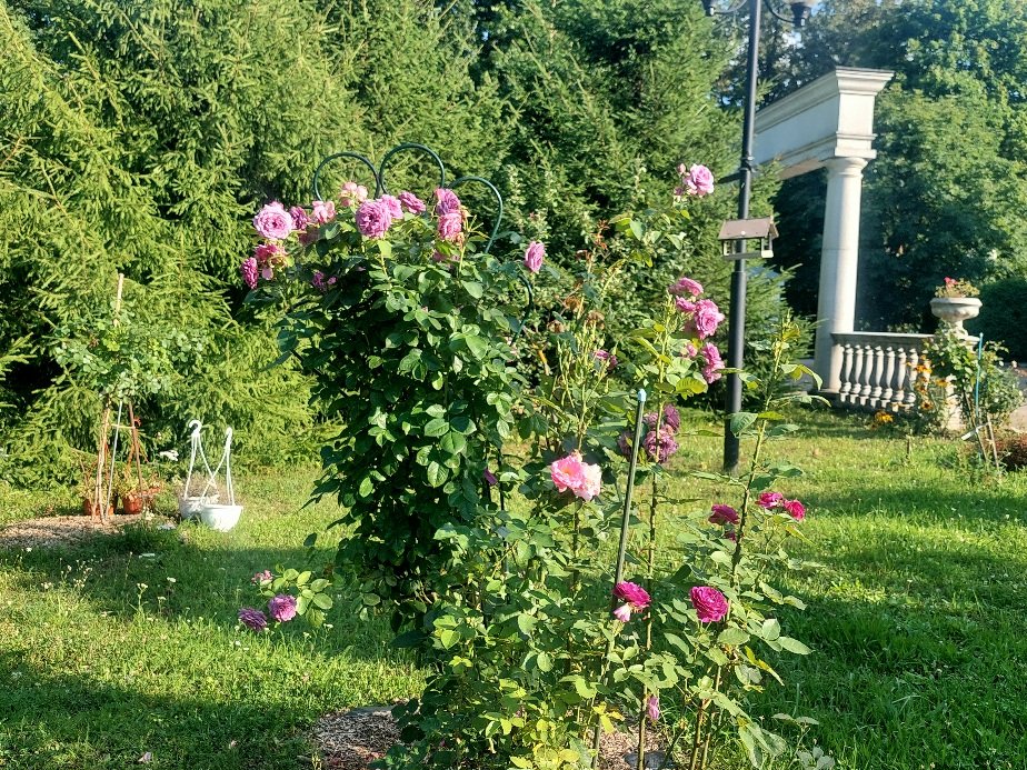 20260804_172525.jpg