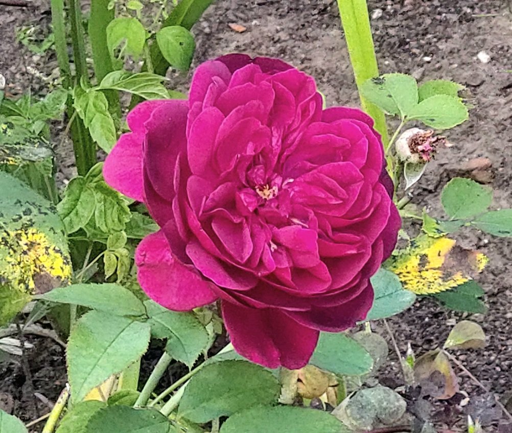 20260804_172845.jpg