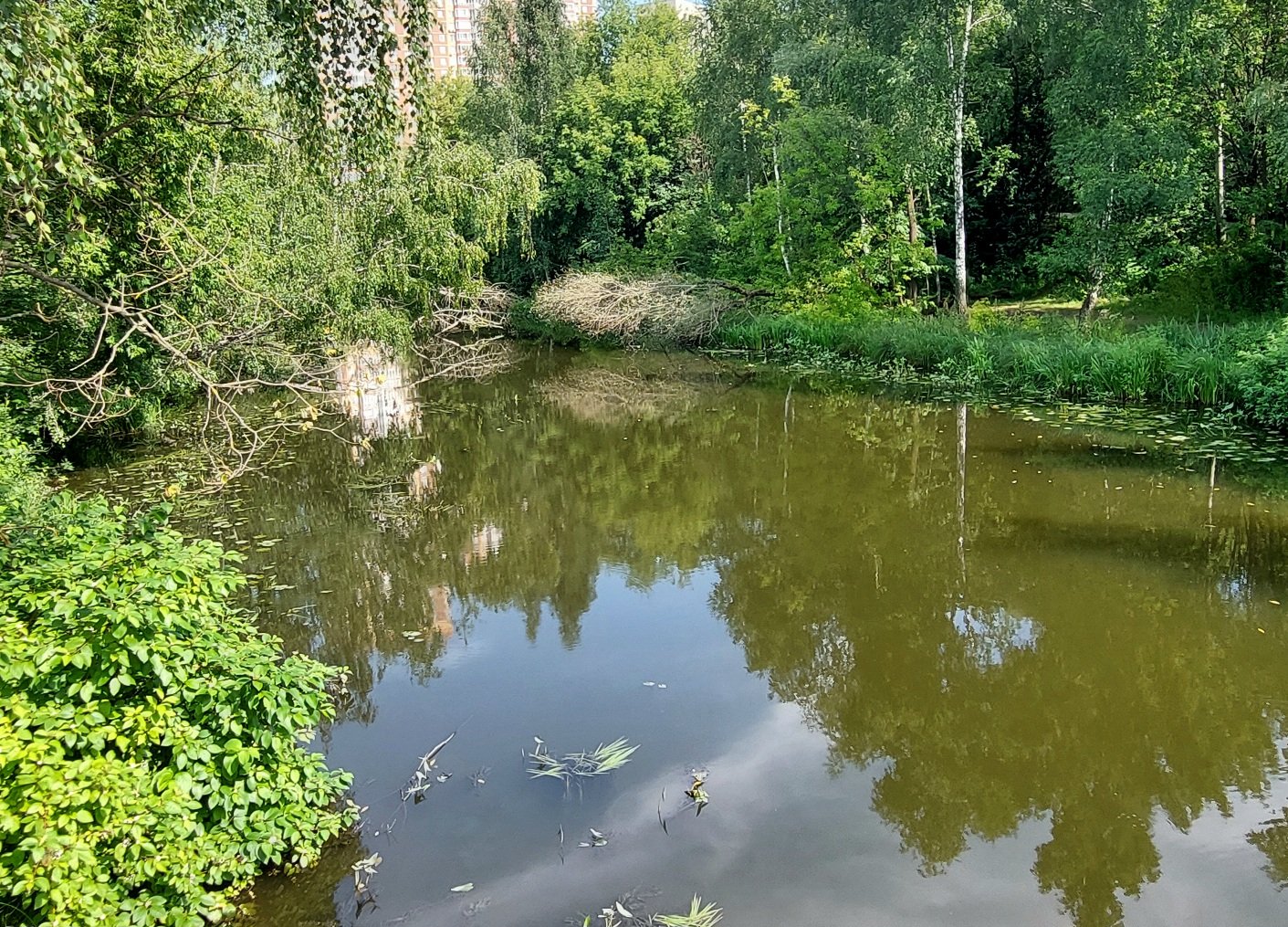 20260805_101132.jpg