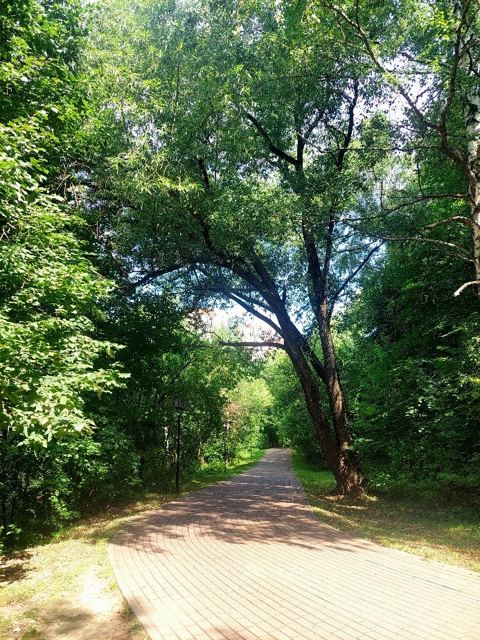 20260805_101253.jpg