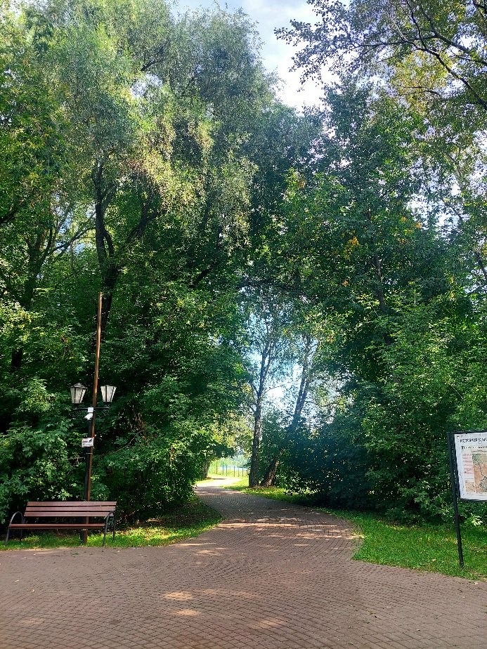 20260805_101313.jpg