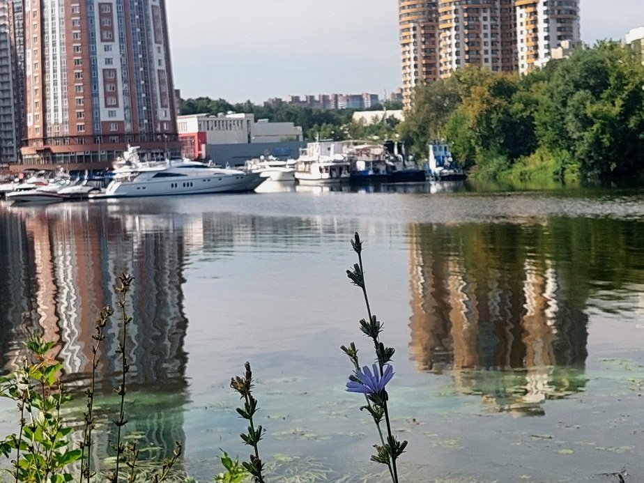20260805_101541.jpg