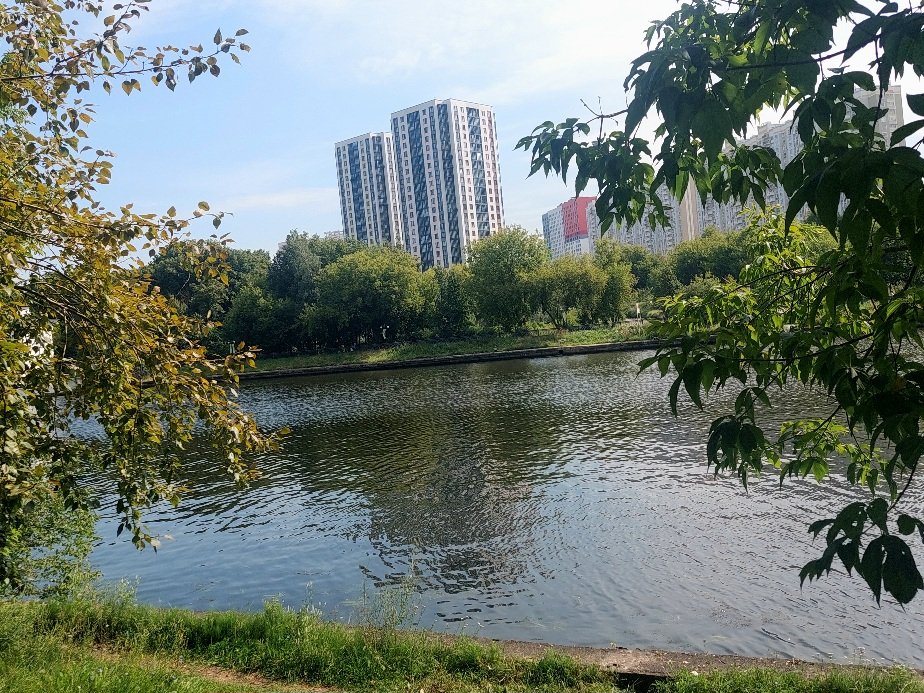 20260805_101718.jpg
