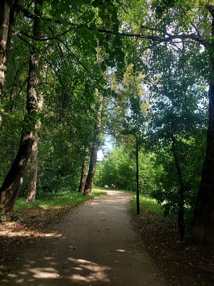 20260805_101910.jpg