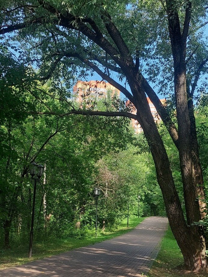 20260805_102029.jpg